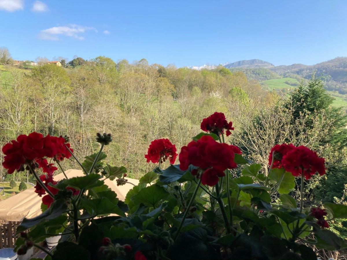 Casa Elena Cangas De Onis Con Wifi Y Parking Gratuito Экстерьер фото