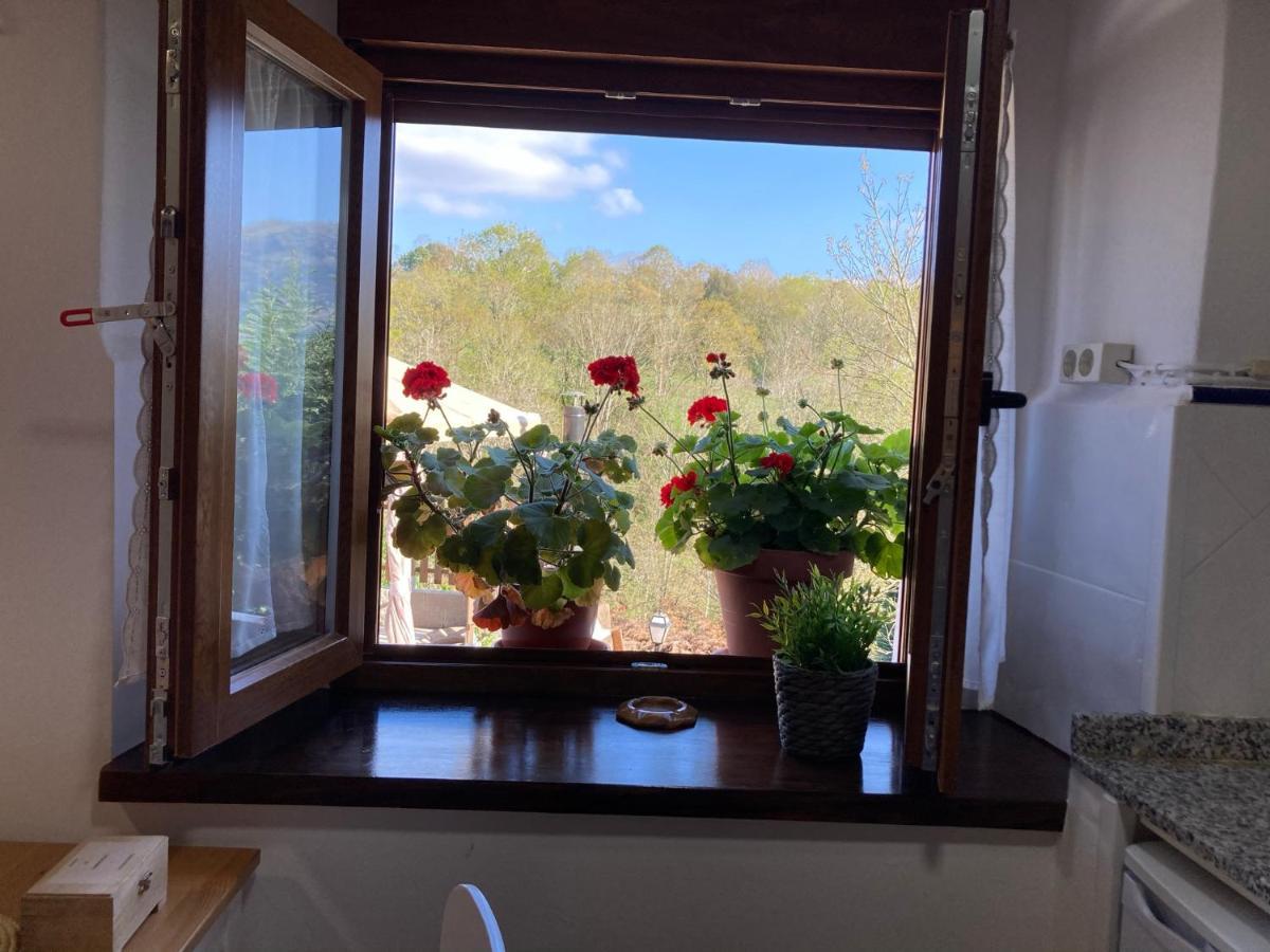 Casa Elena Cangas De Onis Con Wifi Y Parking Gratuito Экстерьер фото