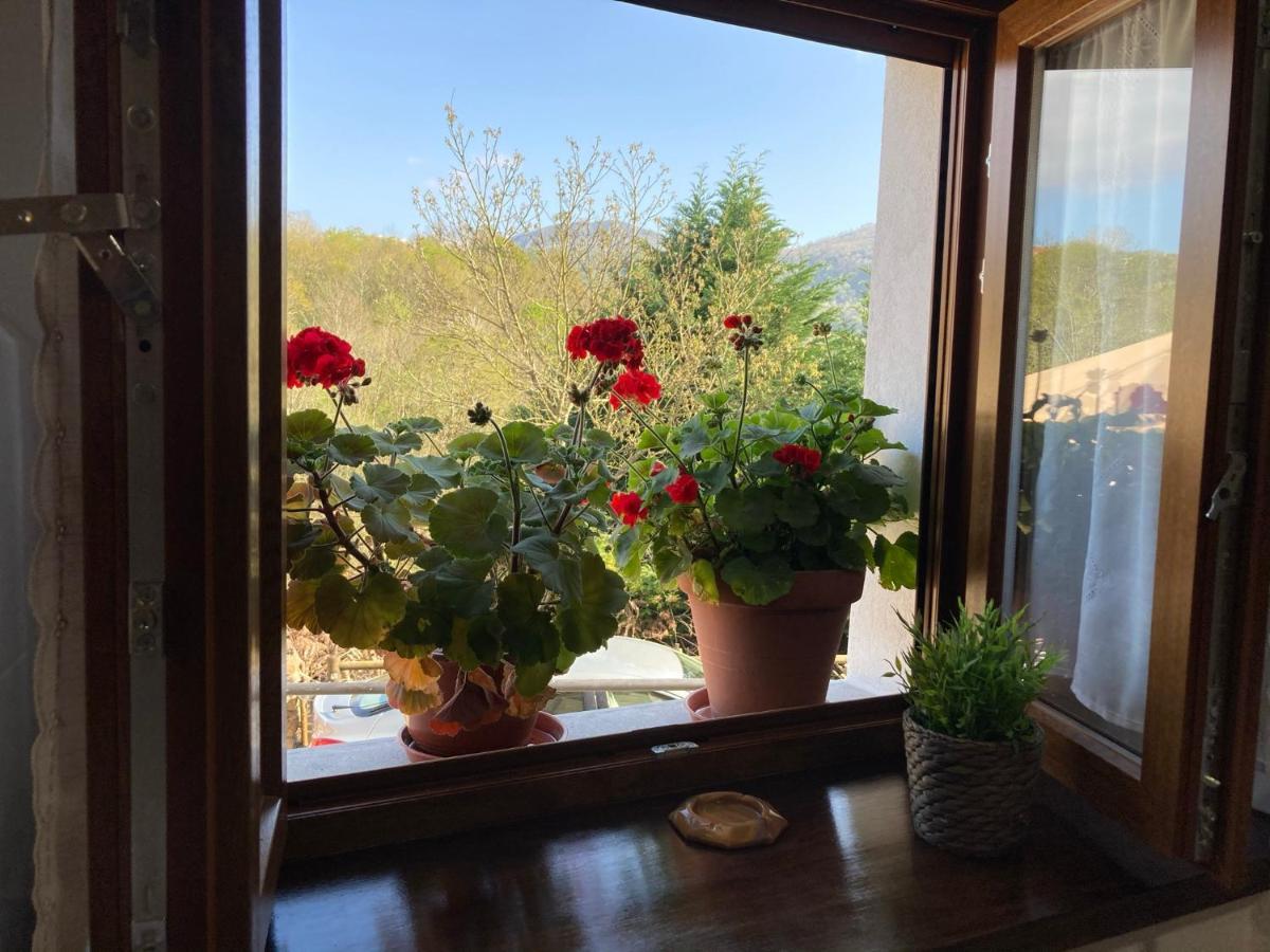 Casa Elena Cangas De Onis Con Wifi Y Parking Gratuito Экстерьер фото