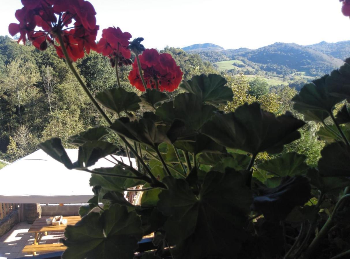 Casa Elena Cangas De Onis Con Wifi Y Parking Gratuito Экстерьер фото